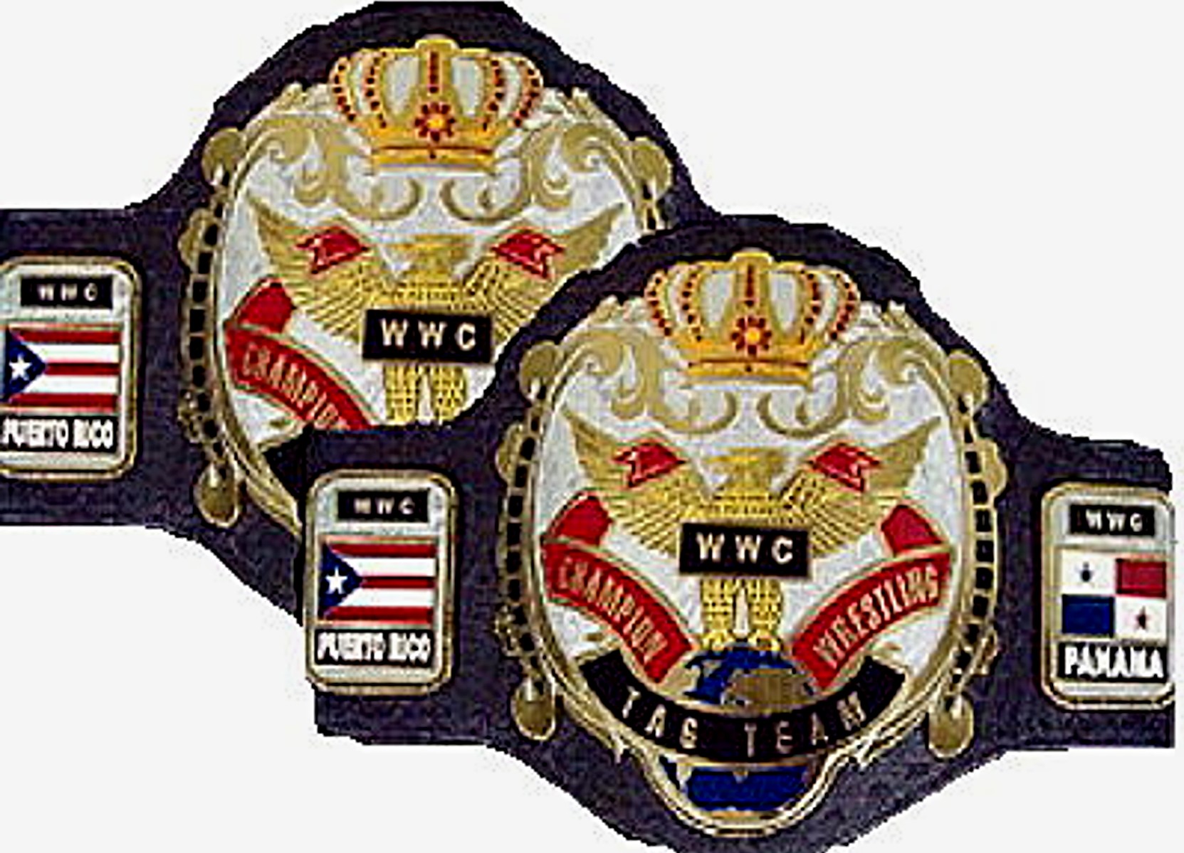 custom wrestling titles